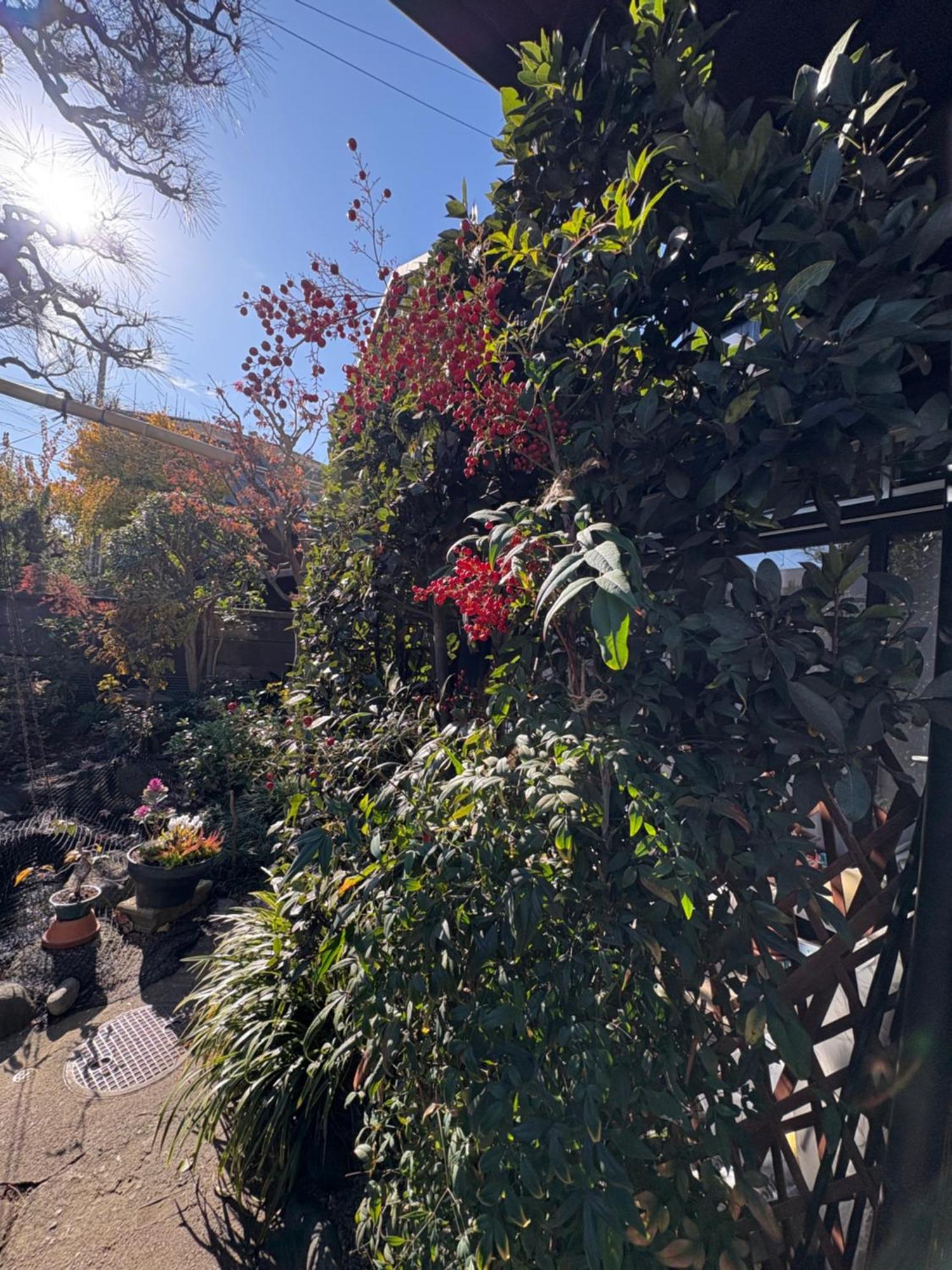 Kitazawa Cozy House Hotel โตเกียว ภายนอก รูปภาพ